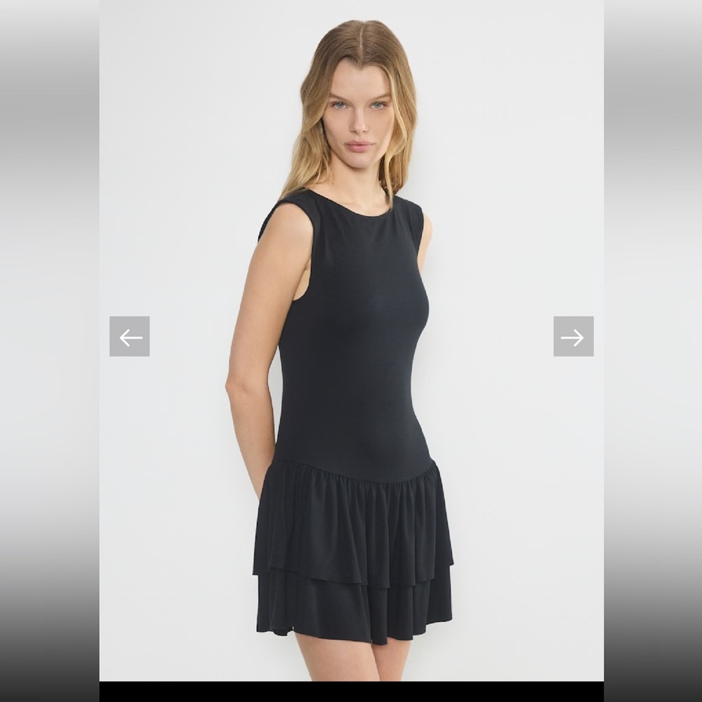 Aritzia  "Wilfred" Sleeveless Ruffle-Hem Dress